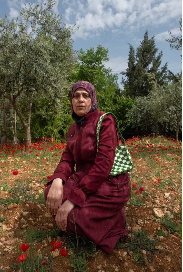 Lamsa Bekaa