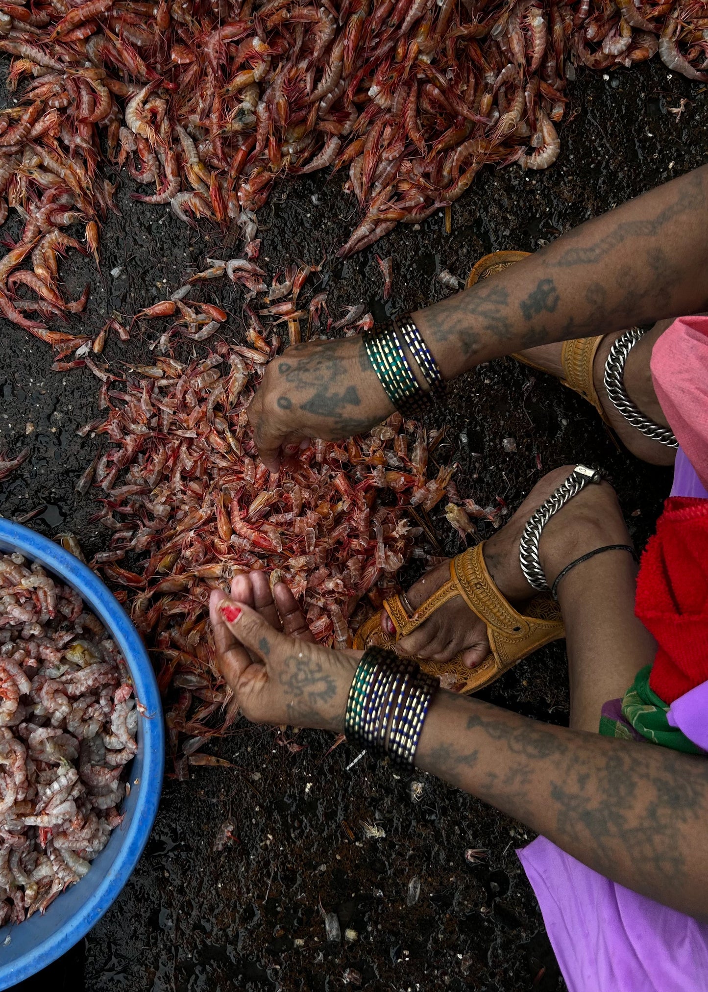 Women in Fashion, Sassoon Docks 2