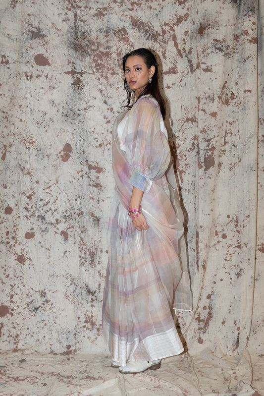 Silk organza - sheer saree and blouse