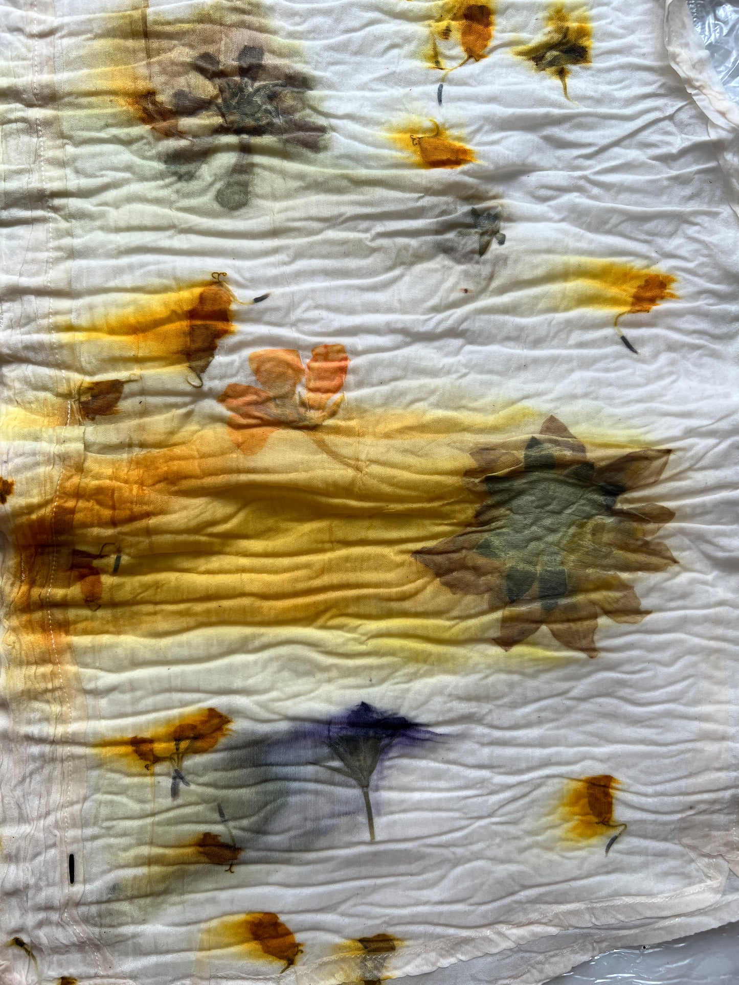 Meadow Memory Shorts