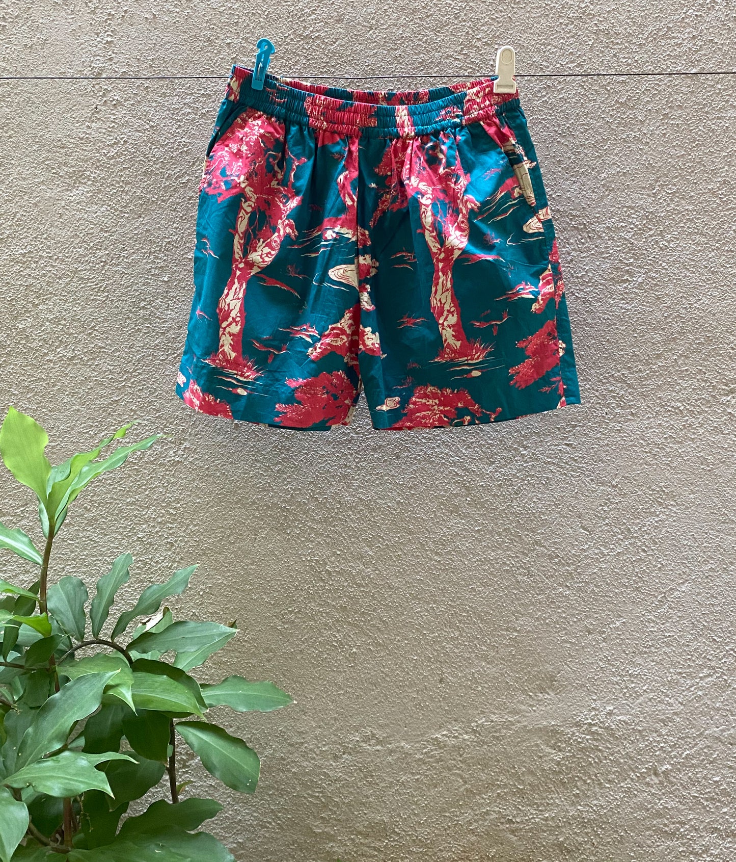 Rainforest Shorts (Green)