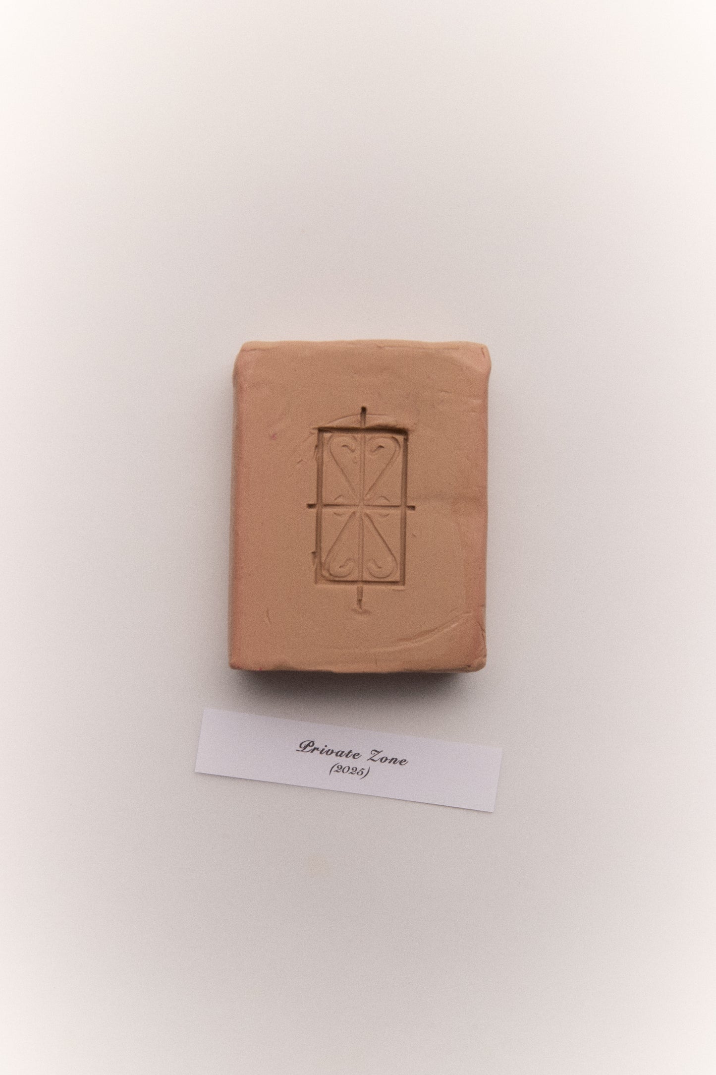 Private Zone Earring (I)