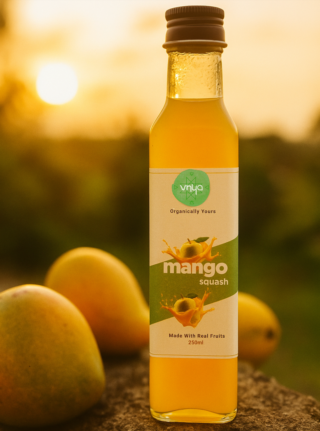 Mango Squash