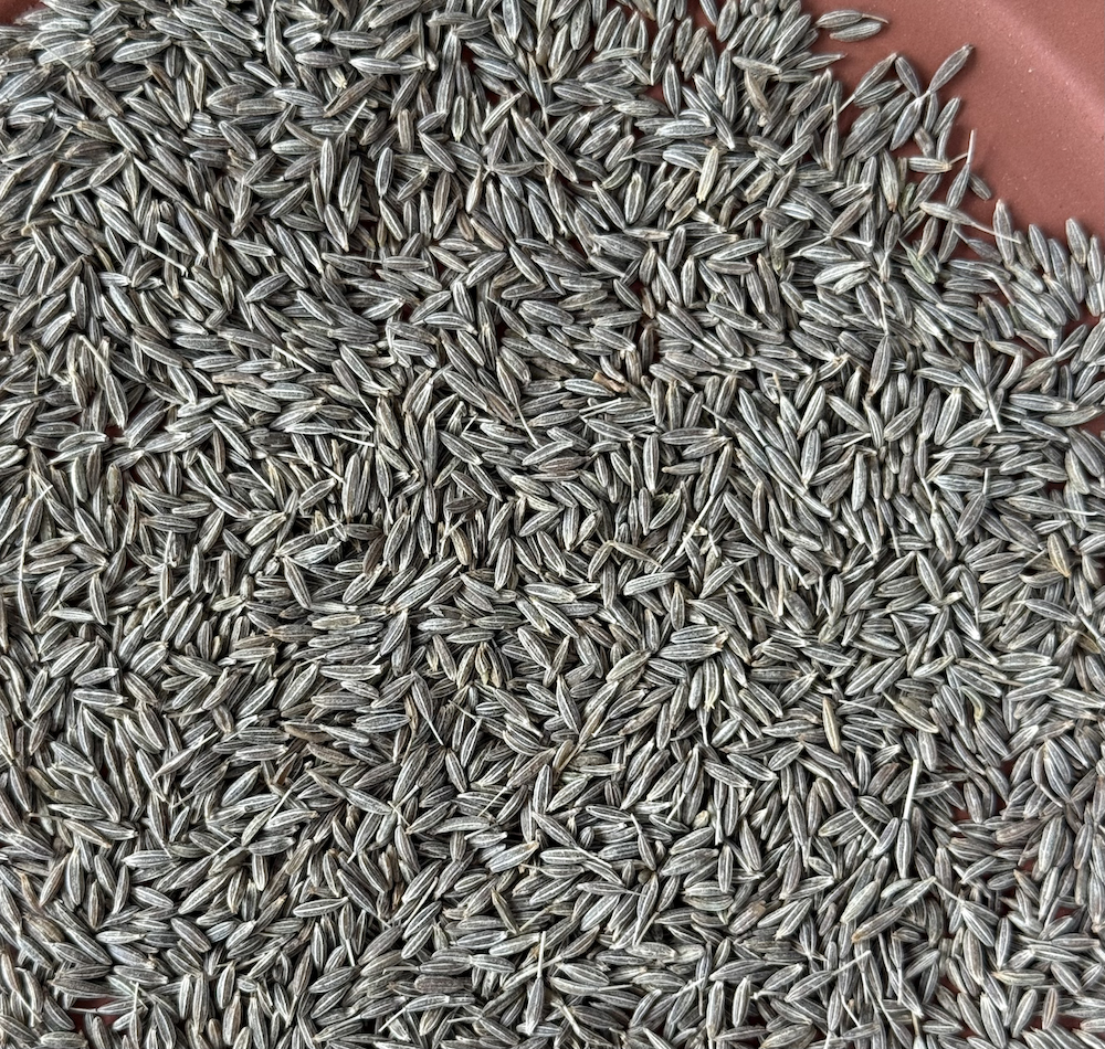 Whole Cumin