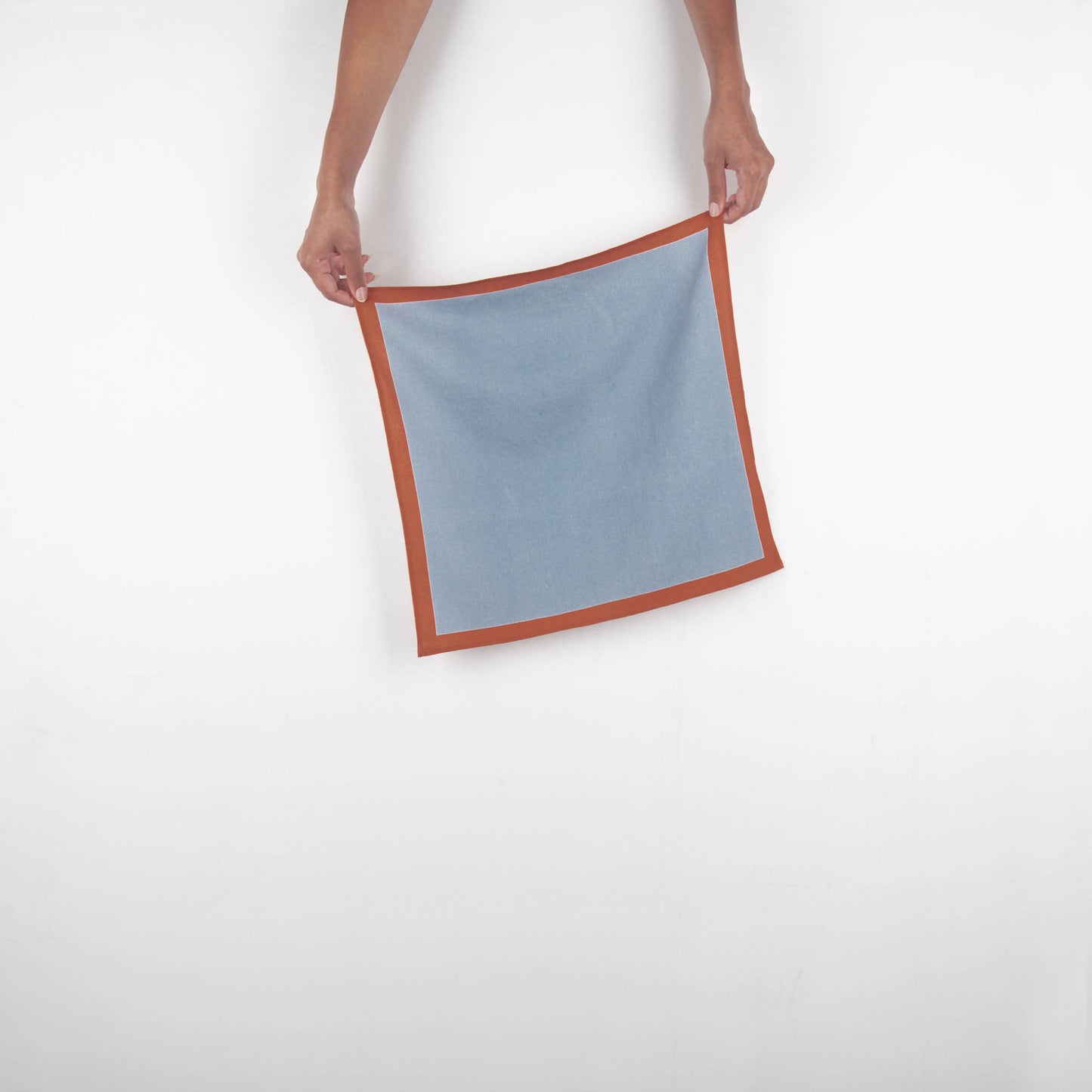 HILMA KLINT SOLID NAPKIN (SET OF 2)