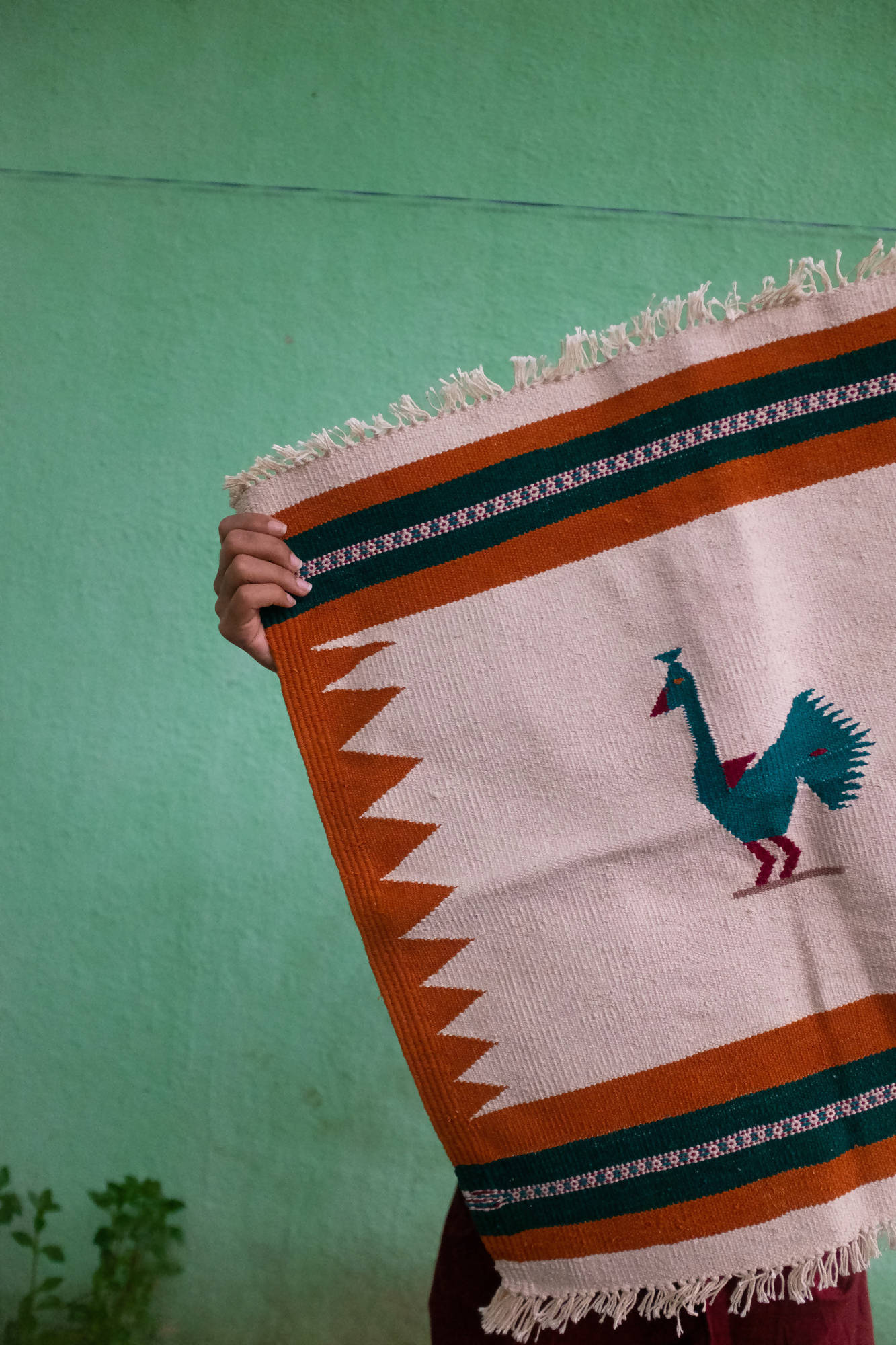 PEACOCK DHURRIE