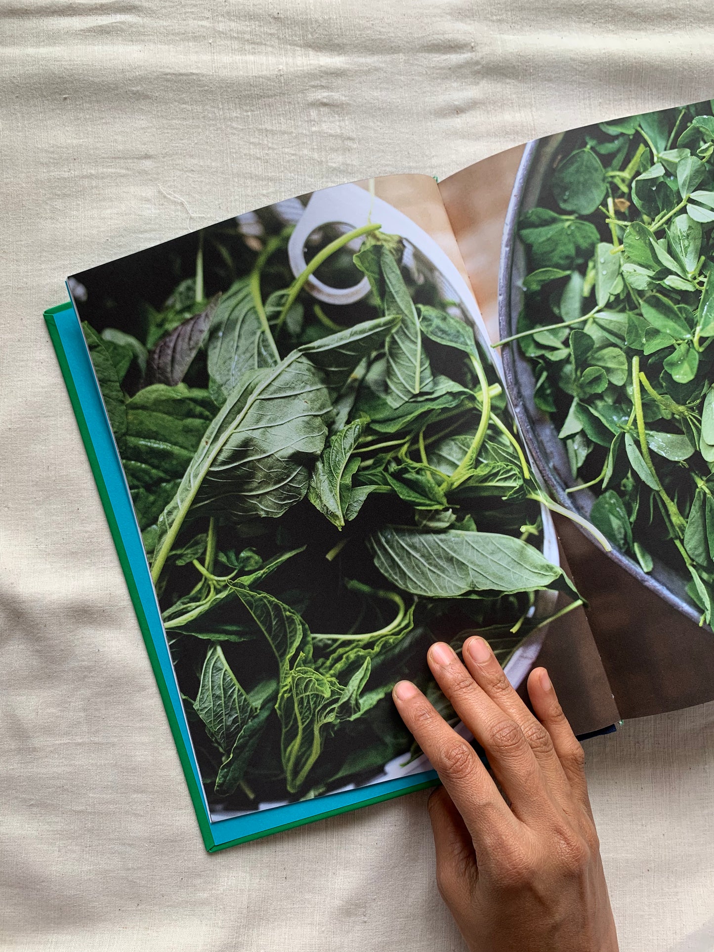 Why Cook: Timeless recipes and life lessons from inspiring women