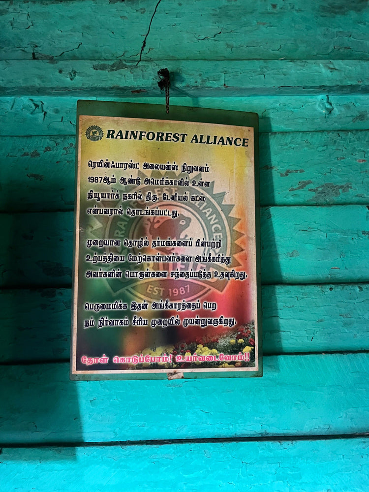 RAINFOREST ALLIANCE - KERALA 2021