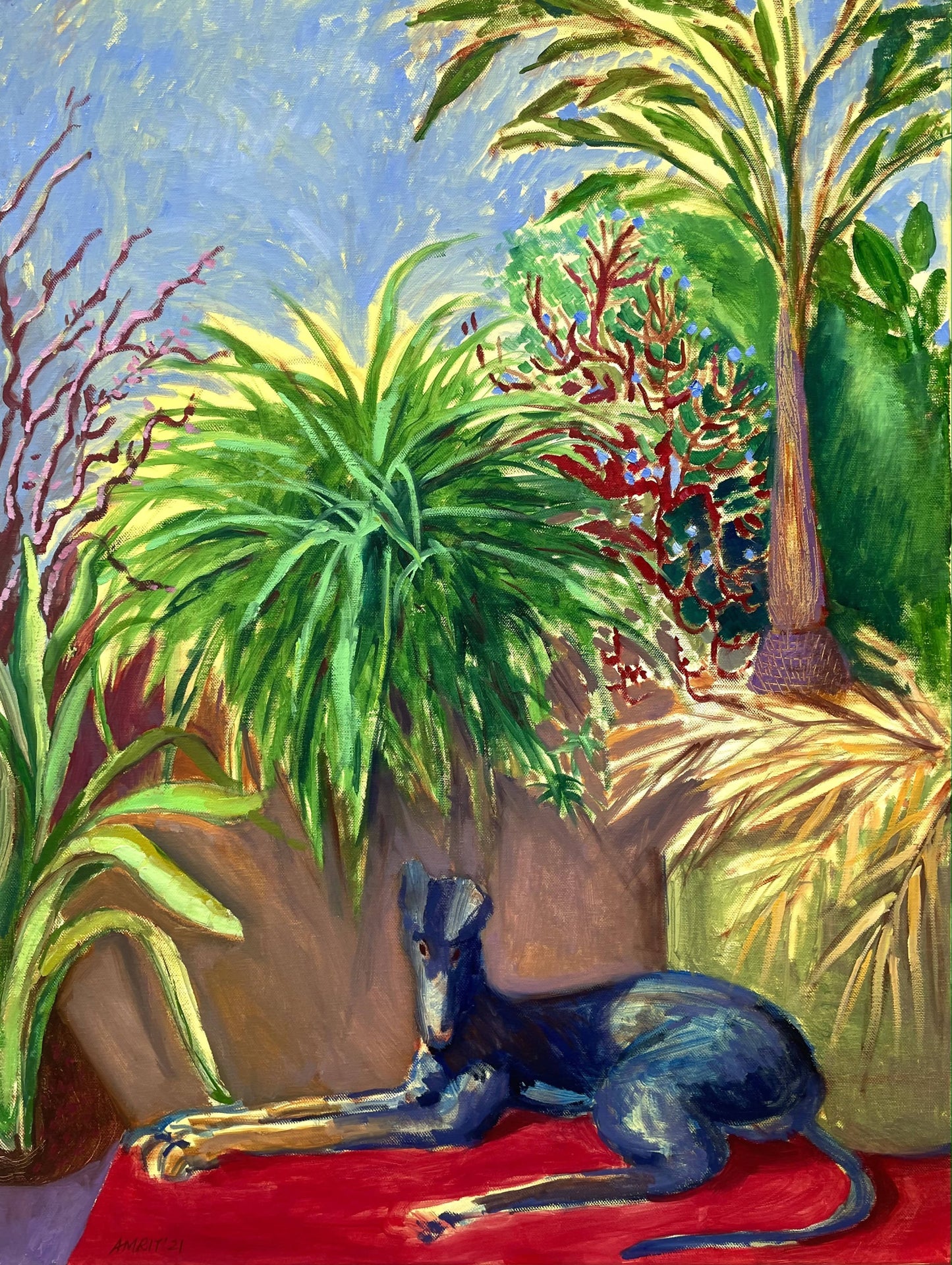 TIMPU AT HOME