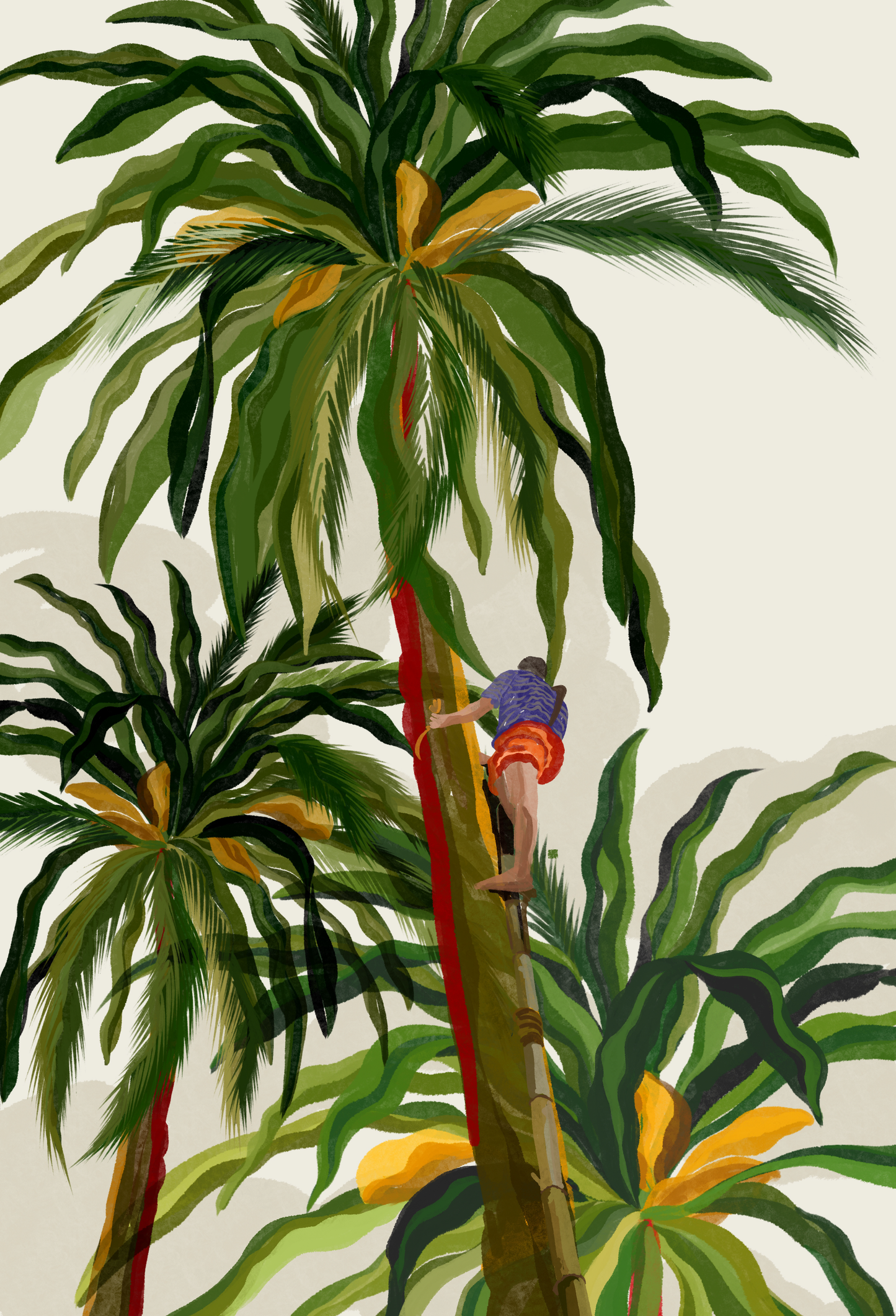 Cocos Nucifera