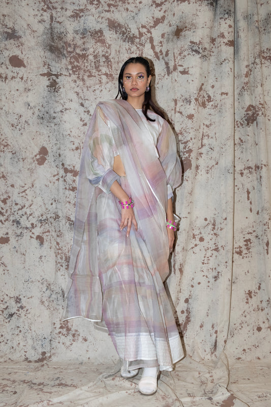 Silk organza - sheer saree and blouse