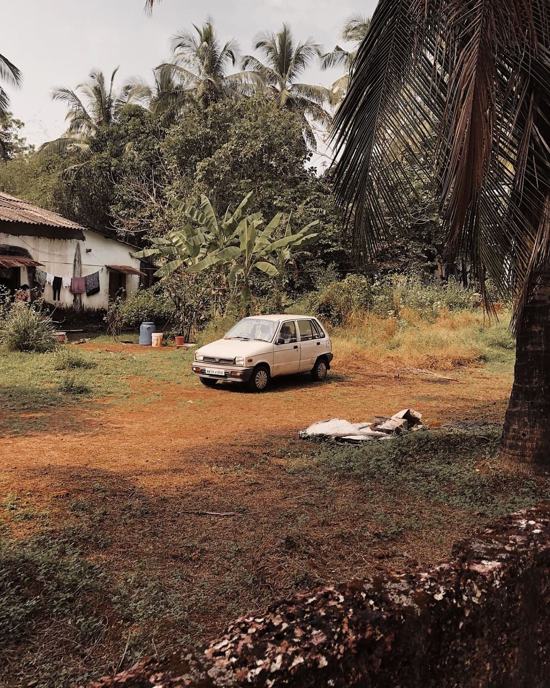 Goa Series: Grandmoms backyard