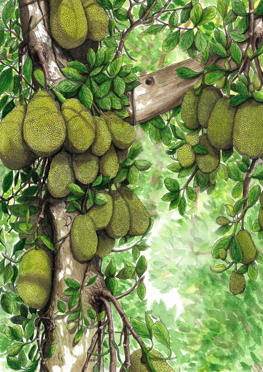 Art For Your Kitchen | Jackfruit