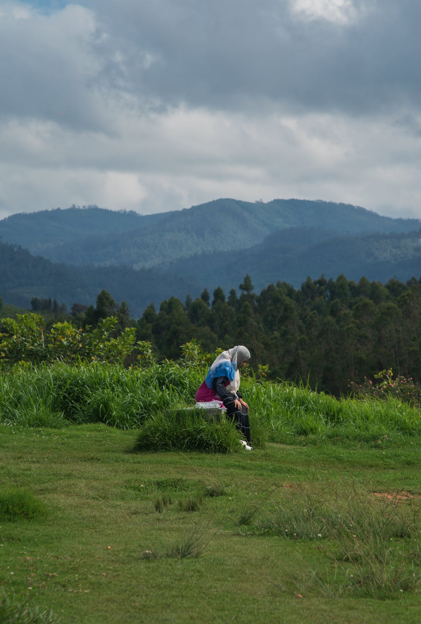 People On Their Land 14