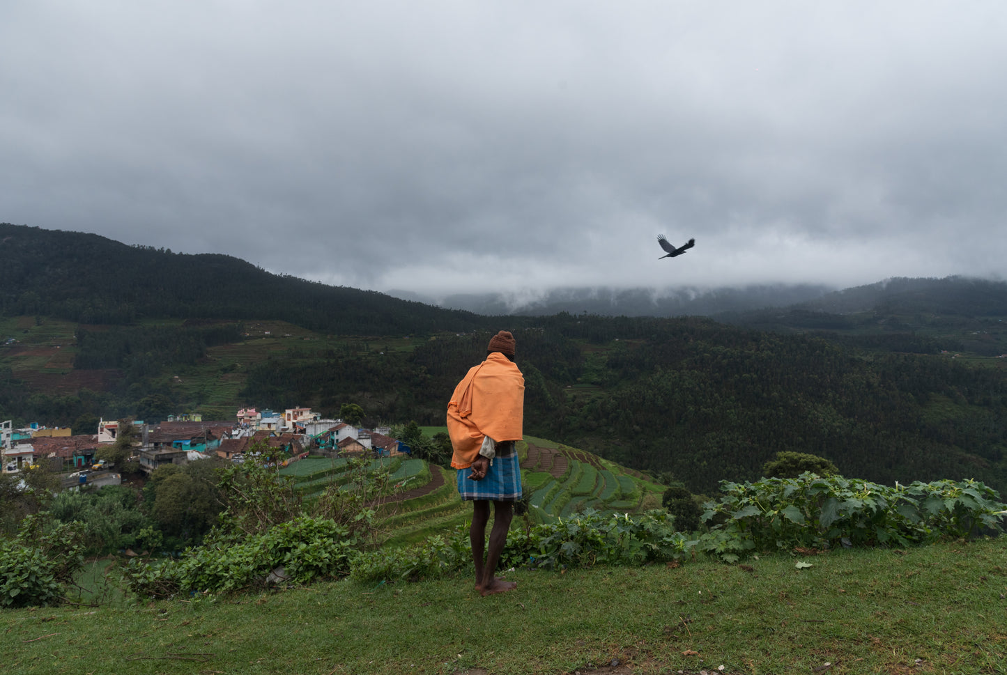 People On Their Land 16