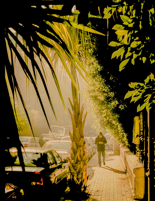 Walk Through Green
