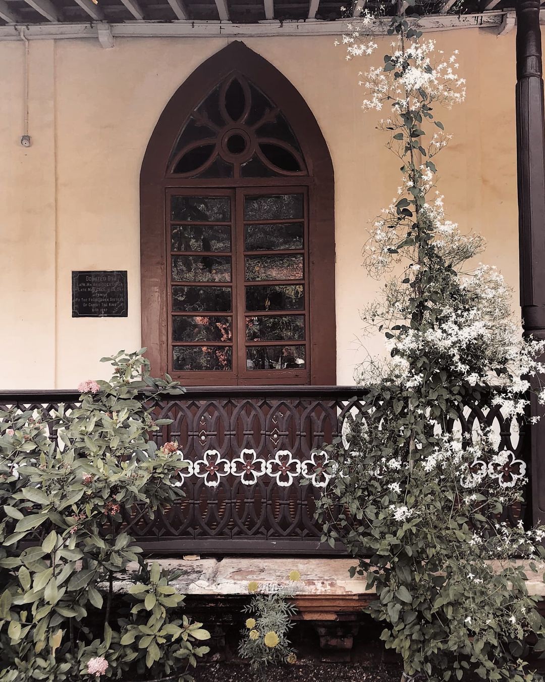 Goa Series: Surrounded by jasmine