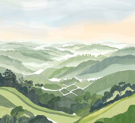Where the Mist Settles