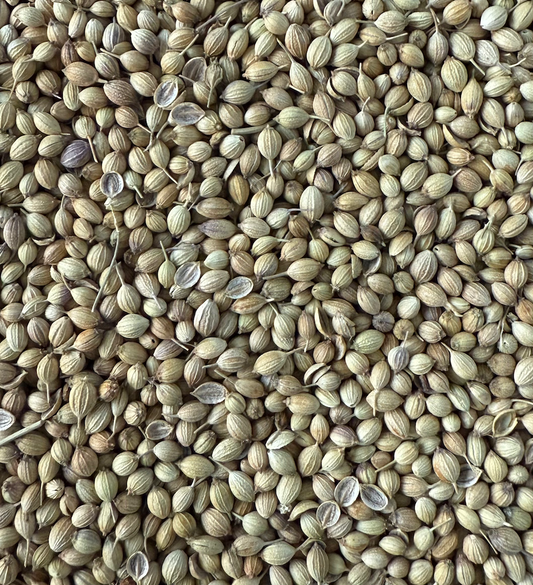 Whole Coriander
