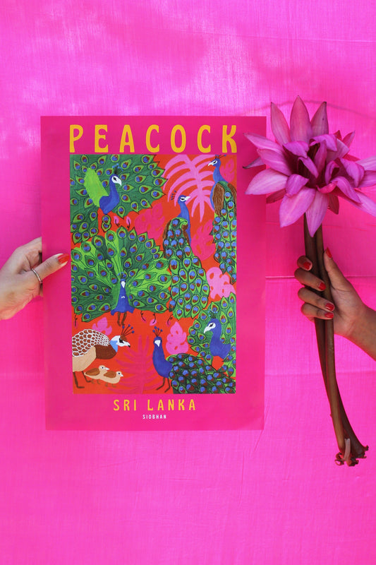 Peacock Travel Poster