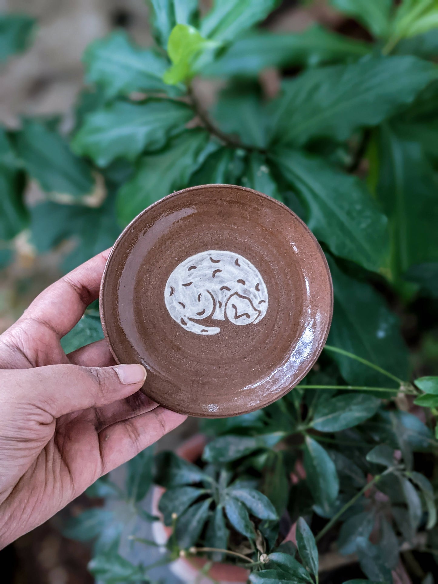 WHITE CATS on BROWN Trinket Dishes (SET OF 2)