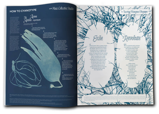 TIRT - ISSUE 2